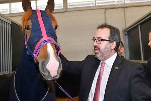 Funding boost to improve race horse safety
