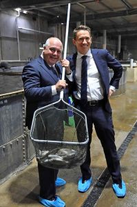 $55 million expansion for barramundi business