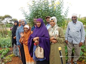 Garden gives newly arrived a fresh start