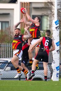 Wyndham Suns on the rise