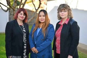 Ready and steady call to action on family violence