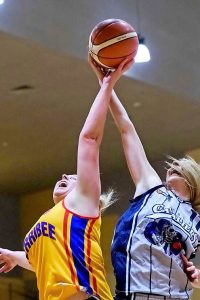 Werribee Devils slow to adjust after injury to import