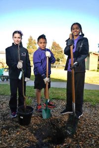 Featherbrook College branches out