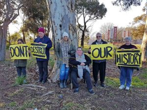 Tree removal cuts deep