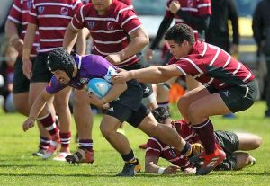 Wyndham City Rhinos ready to take rugby union to the next level