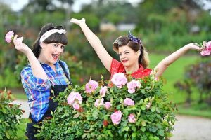 Coming up roses at Werribee Park