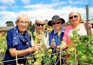 Seniors blossom in the garden