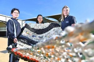 College has a top plarn