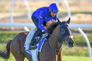 Horses on track for fine form