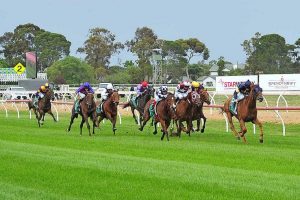 Werribee Cup fun a stylish winner