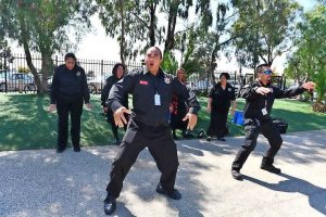 Wyndham unites over Kiwi attacks