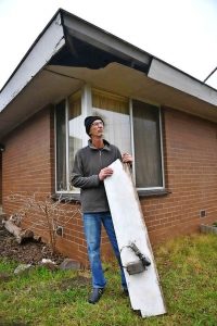 Council rejects tree bill