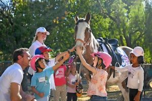 Saddle up for holiday fun