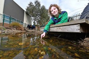 Frog pond cash splash