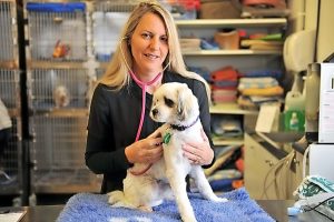 Wyndham business awards provide a boost