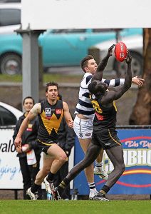 Tigers blow healthy lead against Geelong Cats