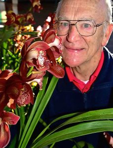 Orchids in bloom at winter show