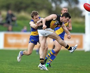 Tigers roaring on the road