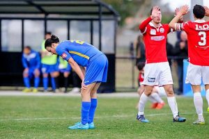 Bees on the relegation scrap heap