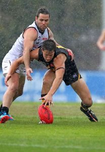 Hanson caps stellar year with top honour