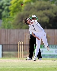 Confident Cats feel at home already