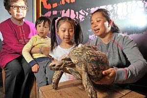 Grandparents Week comes to Werribee Zoo