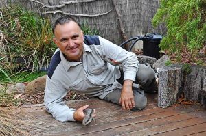 Simple planting creates a backyard sanctuary