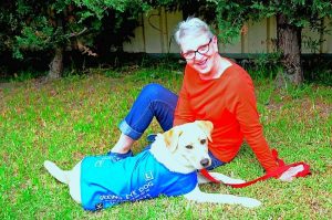 Seeing eye puppy carers needed