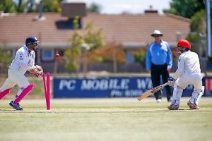 Gale steals the show, but Cats win the day