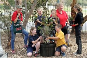 Little River schoolyard goes green
