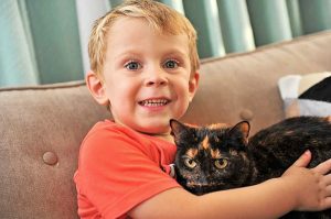 Free registration the cat’s miaow