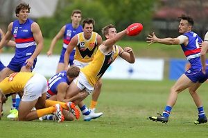 Split squad, mixed results for Werribee
