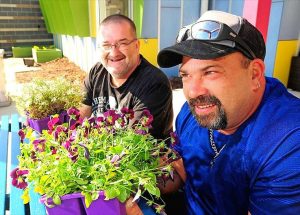 Working bee creates a buzz at Men’s Shed
