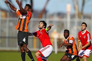 Home nest best for Truganina Hornets