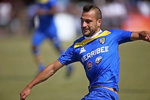 Drought breaks in a big way for the Bees